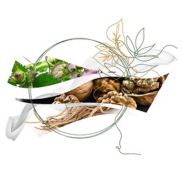 Foreste di Seta - Woda perfumowana